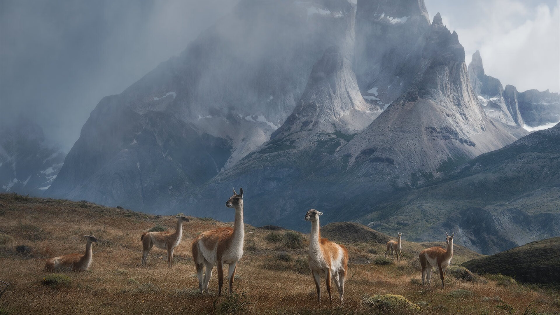“青春追梦”青少年篮球公益公益跑在上海盛大举行，激励青春奋力拼搏