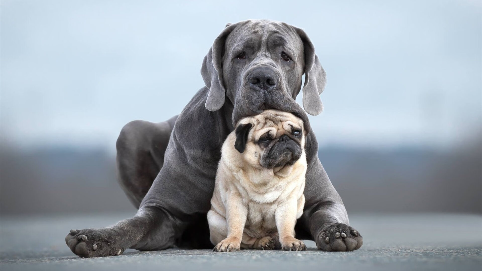 关键时刻：比赛最决定胜负的五个瞬间，决定比赛胜负最重要的因素