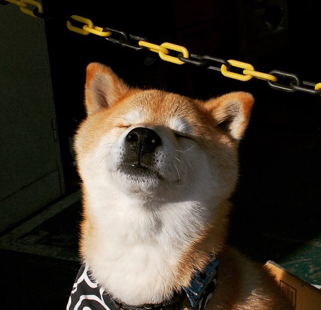 “英超劲旅迎来最关键的时刻，冲刺冠军的好机会”，英超精华集锦