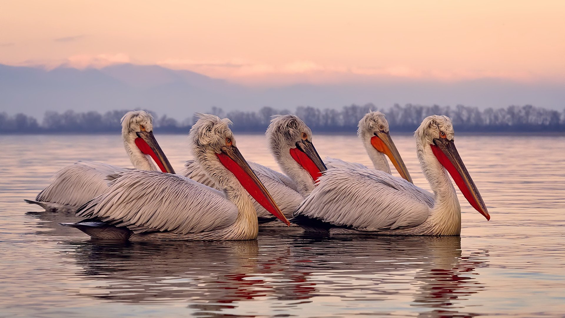 不可思议的逆转！谁是赛季最伟大的逆转队伍？，逆转走什么属强